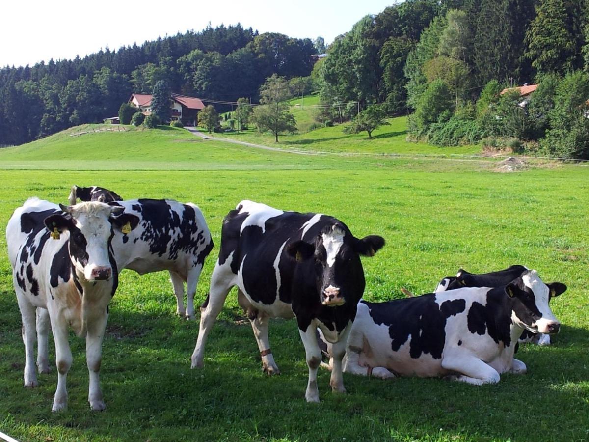Direkt Zwischen Chiemsee U Alpen Dg แบร์เนา อัม คีมเซ ภายนอก รูปภาพ